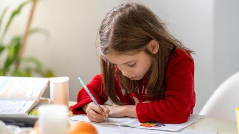 В России предложили запретить учителям задавать на дом непройденный материал