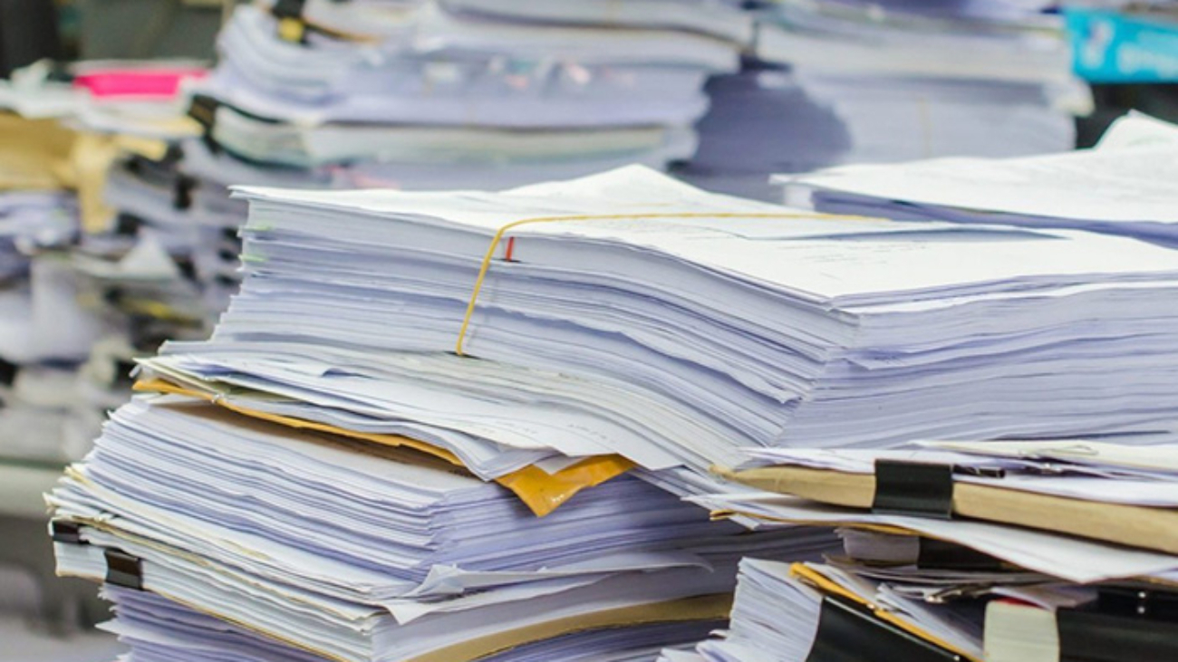 Более трети обращений в чат-бот Рособрнадзора касаются бюрократической нагрузки