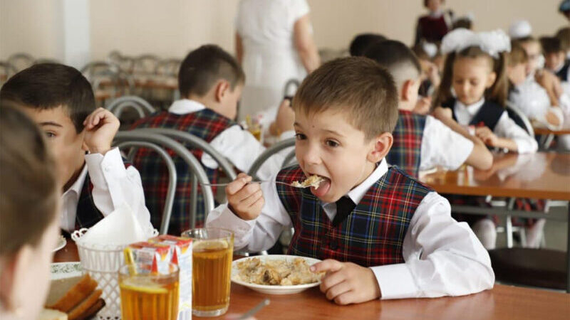 В России предложили ввести единый государственный стандарт школьного питания